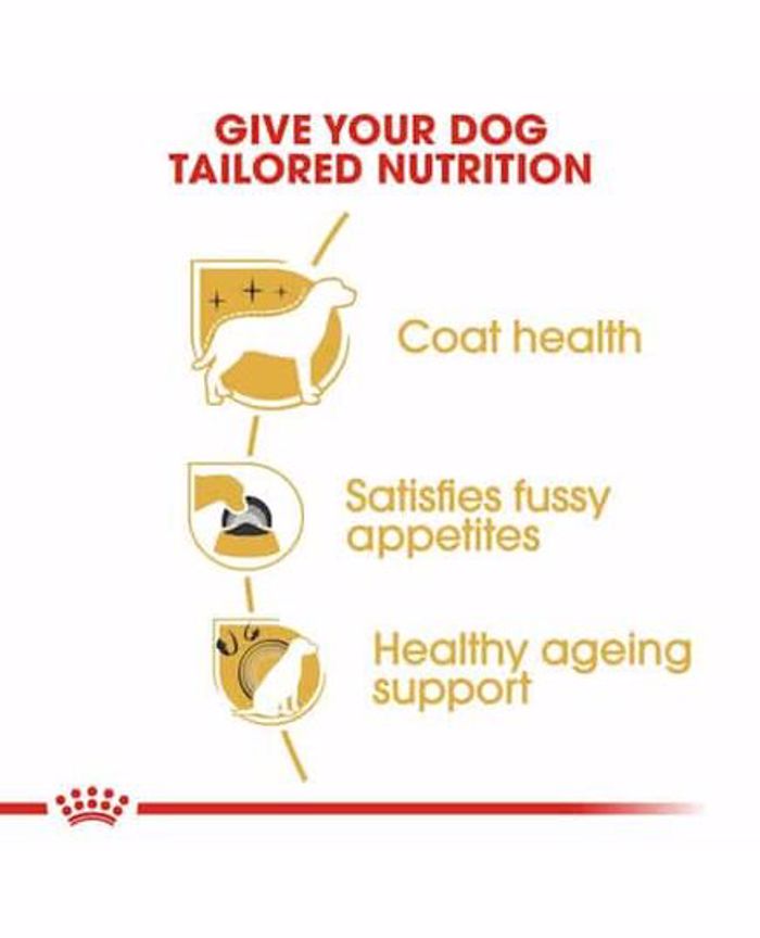 ROYAL CANIN XIRA TROFI SKuLOu ADULT YORKSHIRE 3KG